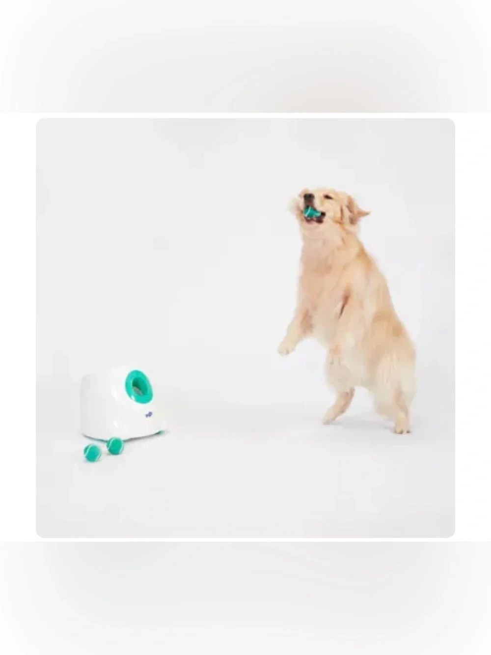Joyhound® Electronic Ball Launcher Dog Toy